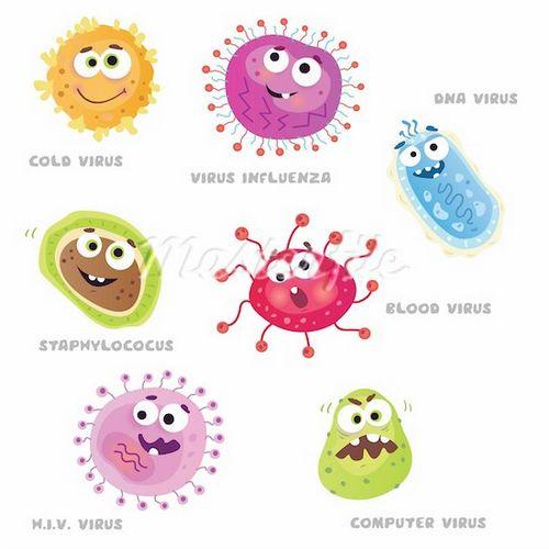 Виды вирусов